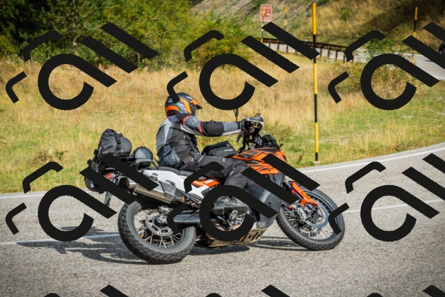 202508231023-DSC08653_c1_