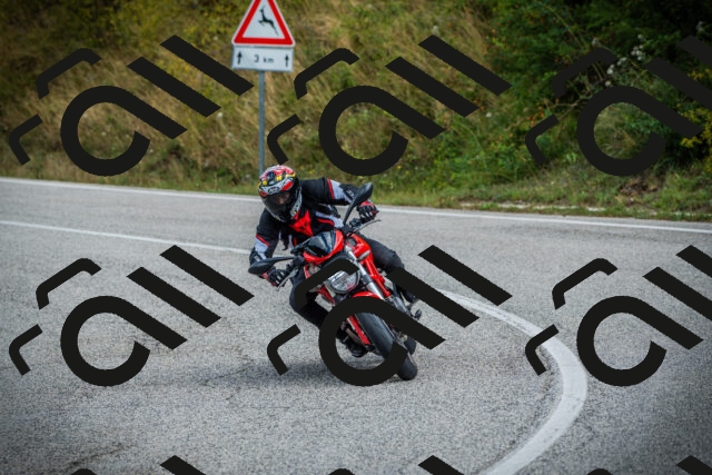 202508231026-DSC08660_c1_