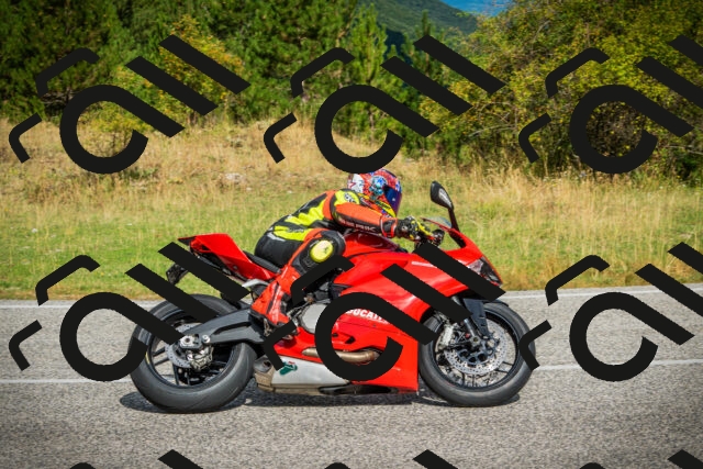 202508231028-DSC08668_c1_