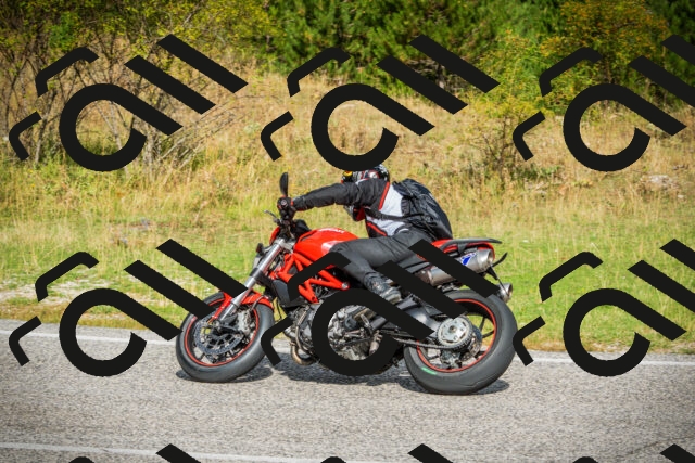 202508231030-DSC08684_c1_