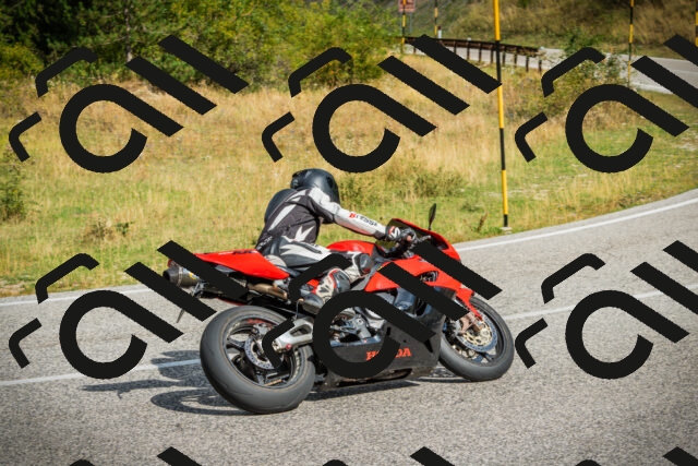 202508231032-DSC08701_c1_