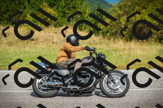 202508231032-DSC08706_c1_