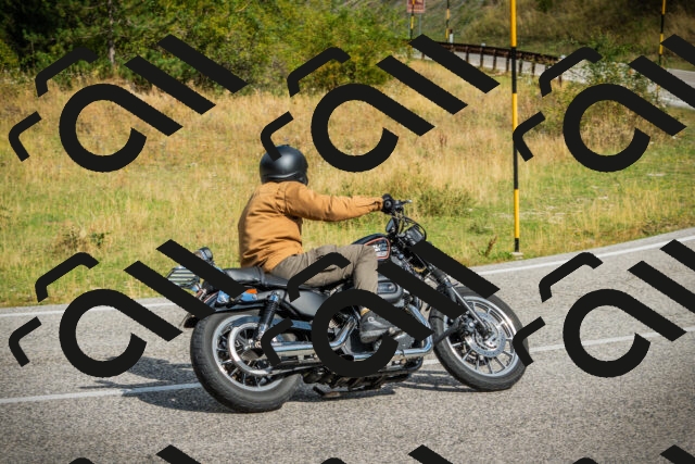 202508231032-DSC08707_c1_