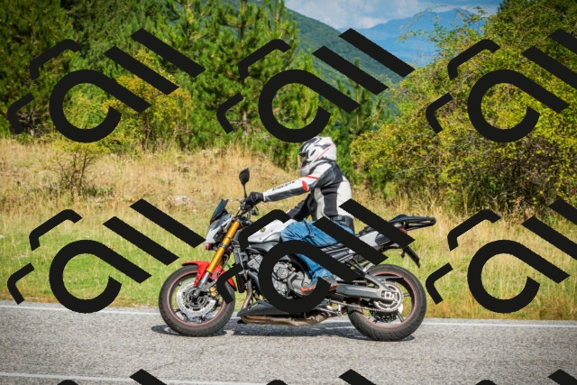 202508231036-DSC08724_c1_