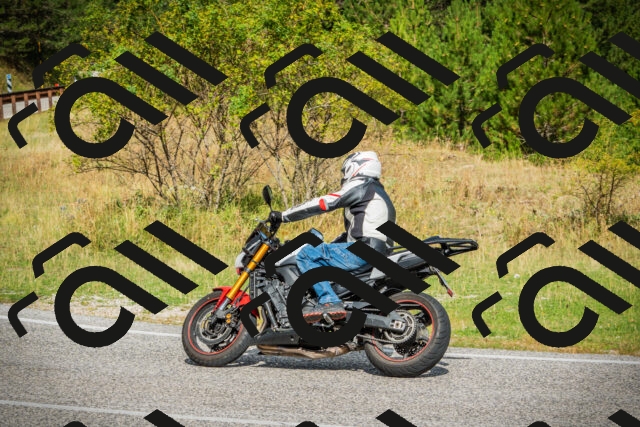 202508231036-DSC08725_c1_