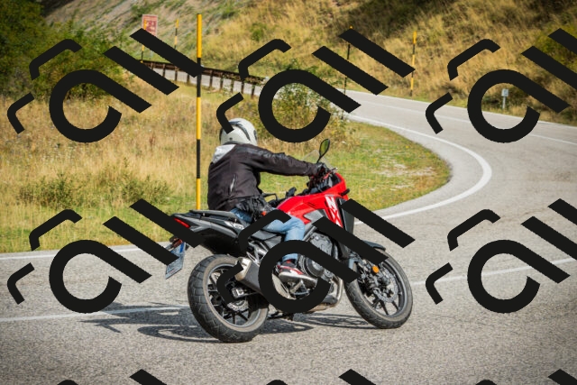 202508231040-DSC08739_c1_