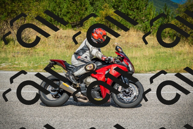 202508231049-DSC08800_c1_