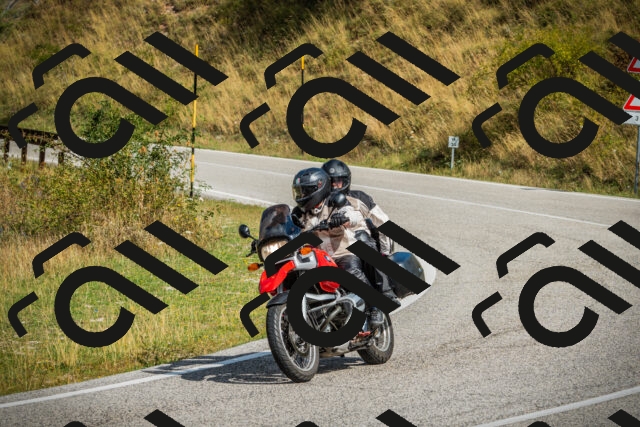 202508231052-DSC08821_c1_