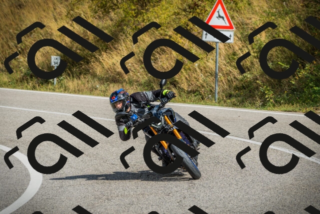 202508231100-DSC08915_c1_