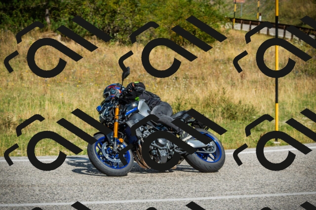 202508231100-DSC08917_c1_