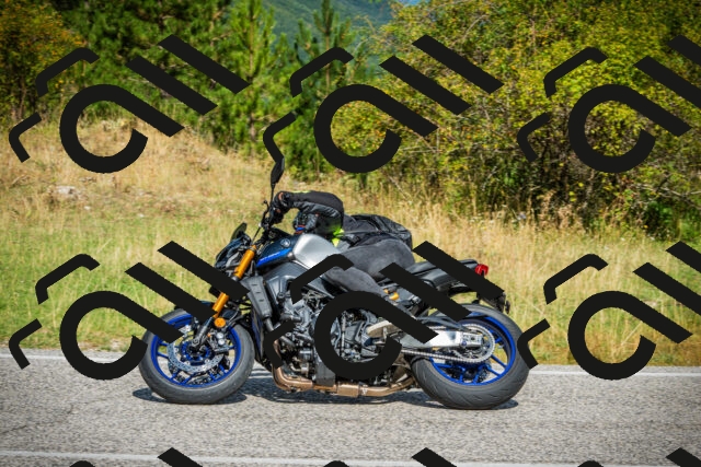 202508231100-DSC08918_c1_