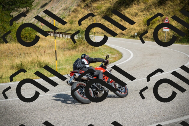 202508231100-DSC08938_c1_