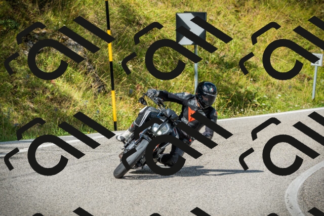 202508231102-DSC08941_c1_