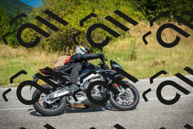 202508231103-DSC08952_c1_