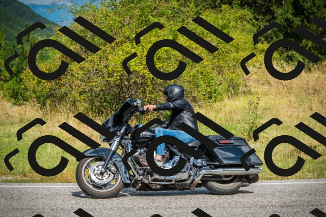 202508231111-DSC09021_c1_