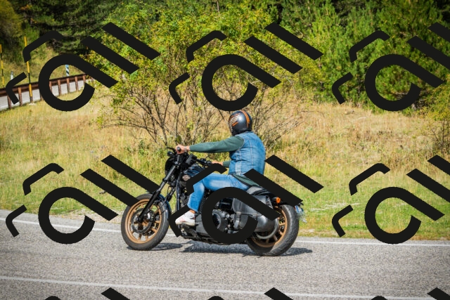 202508231111-DSC09028_c1_