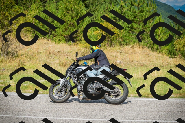 202508231115-DSC09081_c1_