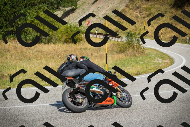 202508231152-DSC09409_c1_