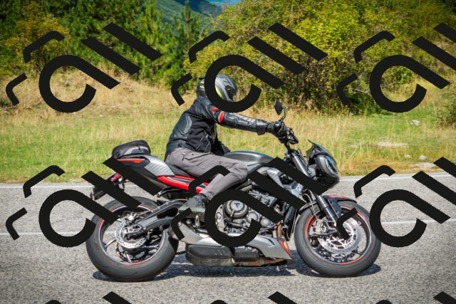 202508231155-DSC09440_c1_