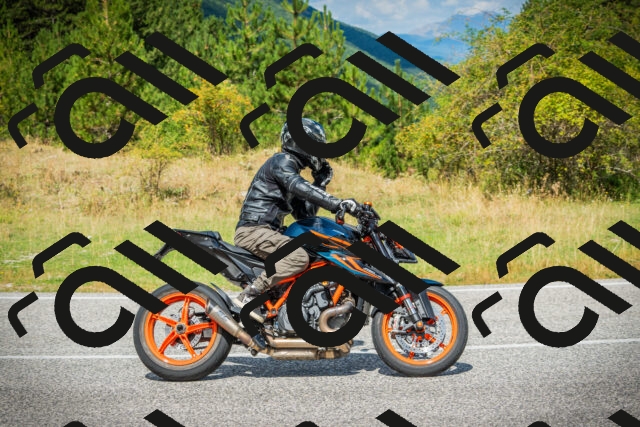 202508231156-DSC09455_c1_