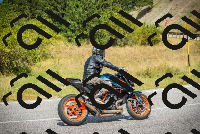 202508231156-DSC09456_c1_