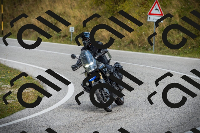 202508231223-DSC09644_c1_