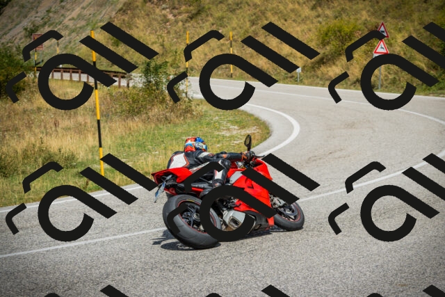 202508231241-DSC09736_c1_