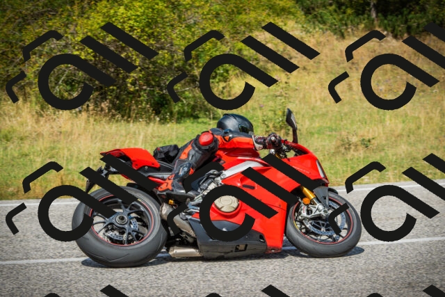 202508231241-DSC09744_c1_