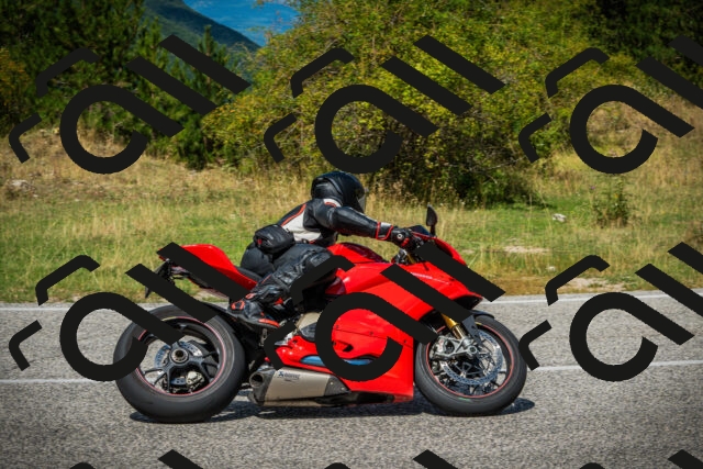 202508231241-DSC09752_c1_