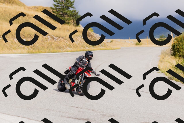 202508231008-_04A5116_c3