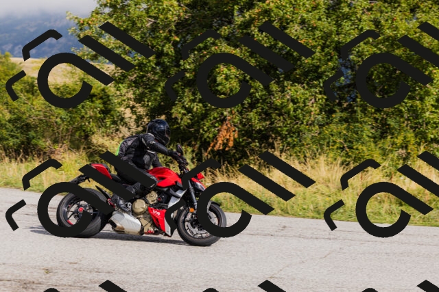 202508231008-_04A5118_c3