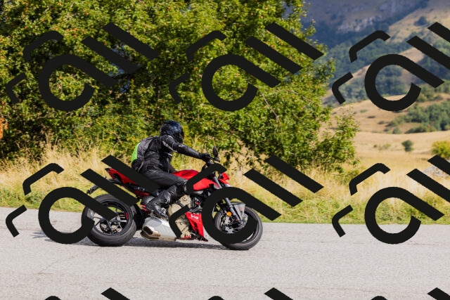 202508231008-_04A5119_c3