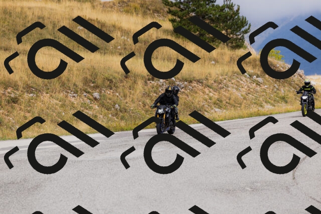 202508231019-_04A5137_c3