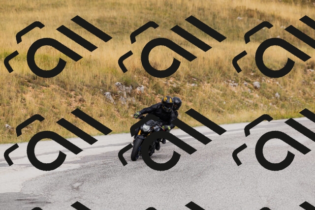 202508231019-_04A5138_c3