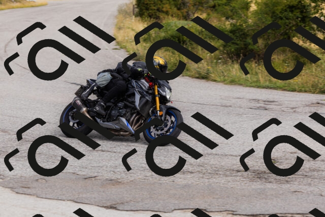 202508231019-_04A5140_c3