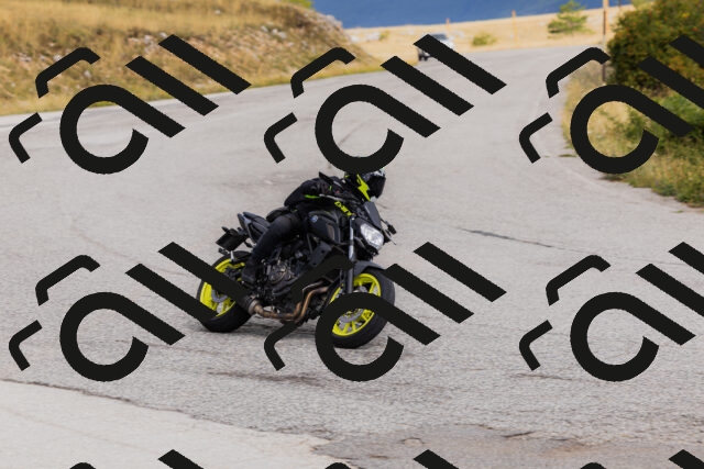 202508231019-_04A5142_c3