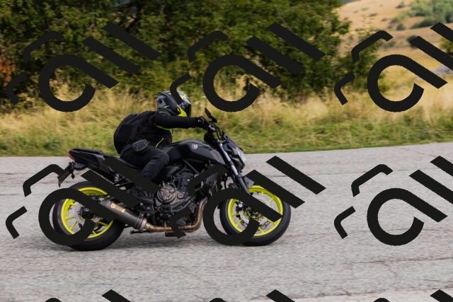 202508231019-_04A5144_c3