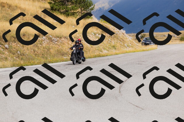 202508231020-_04A5145_c3