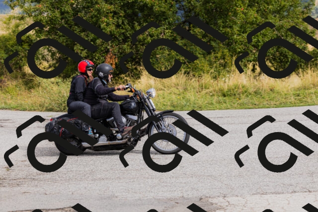 202508231020-_04A5148_c3