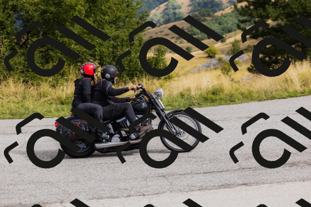 202508231020-_04A5149_c3