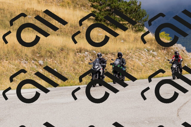 202508231025-_04A5151_c3