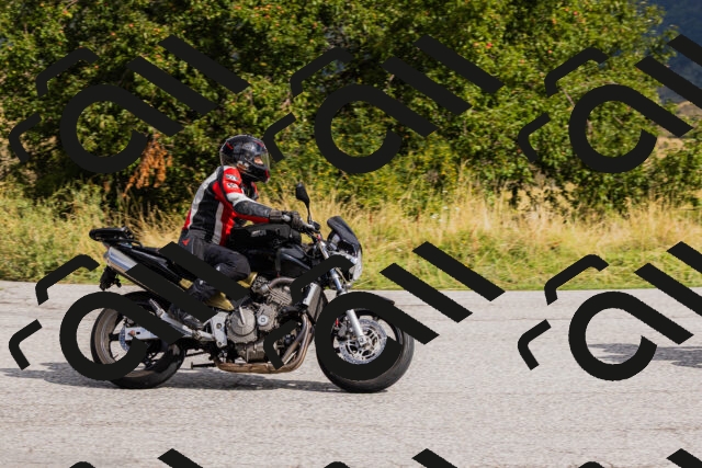 202508231025-_04A5155_c3