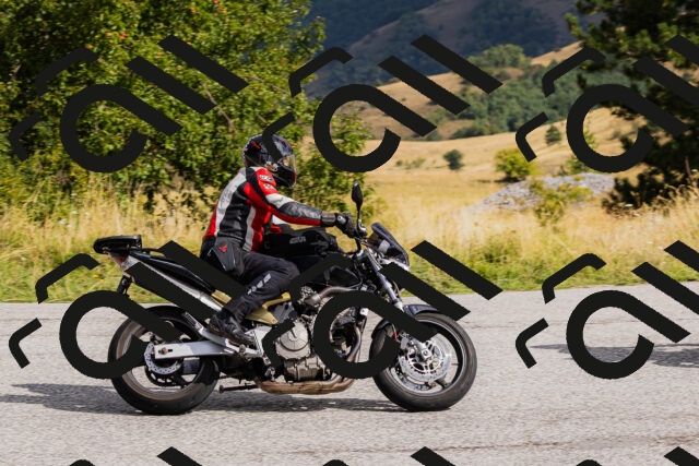 202508231025-_04A5156_c3