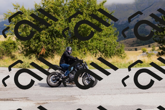 202508231030-_04A5159_c3