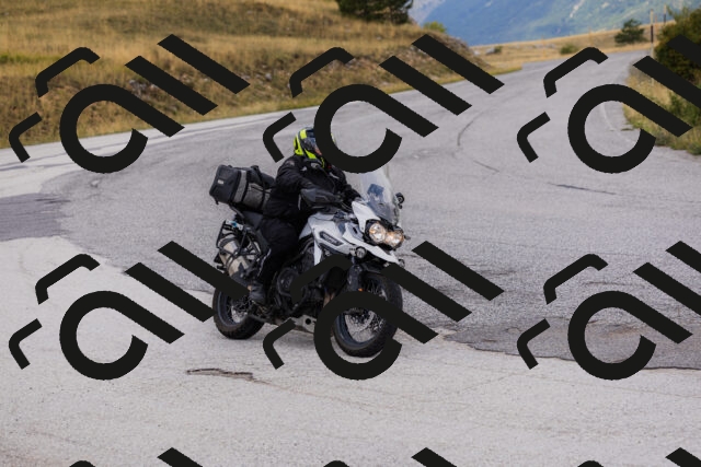 202508231055-_04A5189_c3