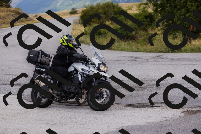 202508231055-_04A5190_c3