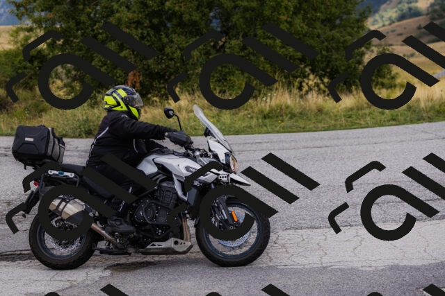 202508231055-_04A5191_c3