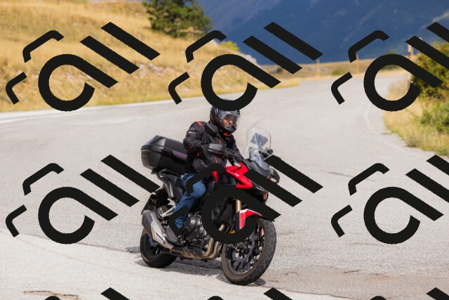 202508231104-_04A5229_c3