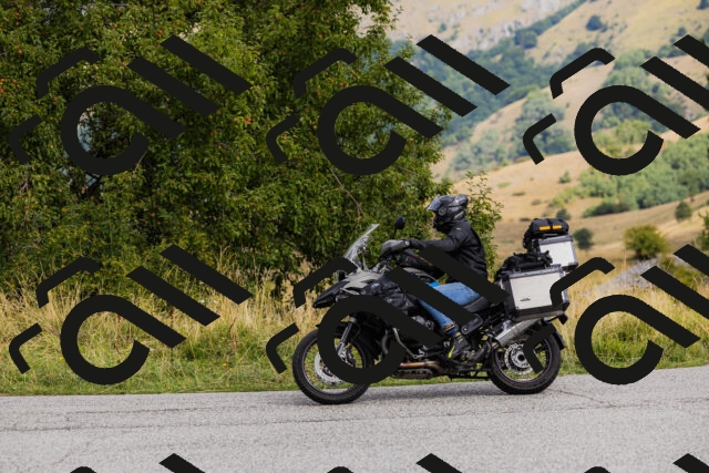 202508231118-_04A5247_c3