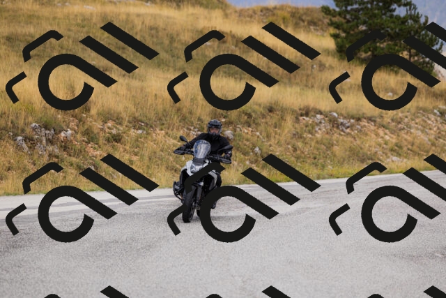 202508231129-_04A5288_c3